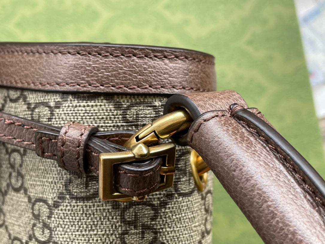 SAC À MAIN GG MINI 25 EN TOILE BEIGE ET CUIR DE VEAU MARRON