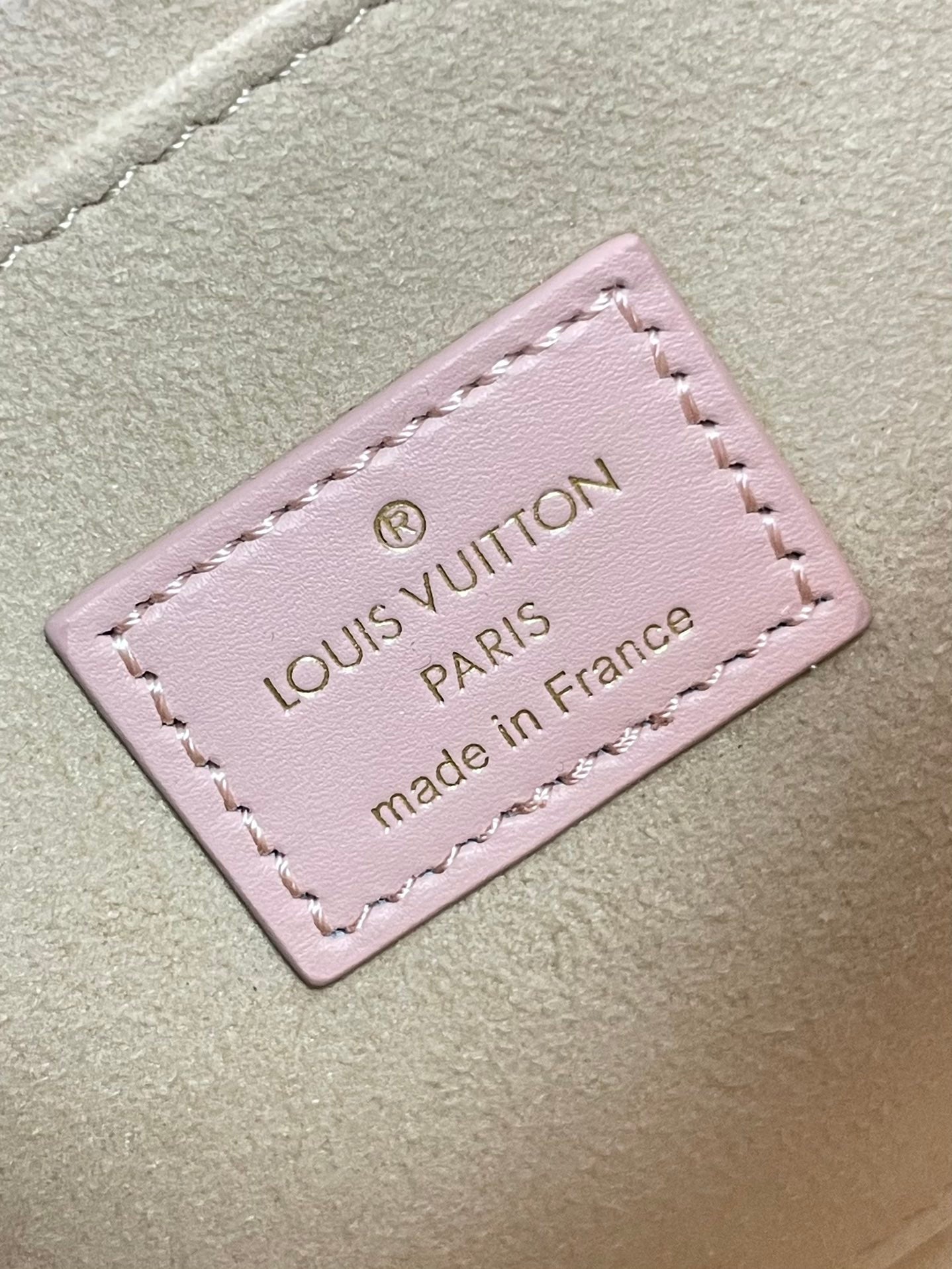 DAUPHINE MM 25 EN CUIR DE VEAU GRAINÉ ÉPI ROSE CLAIR, ACIER DORÉ