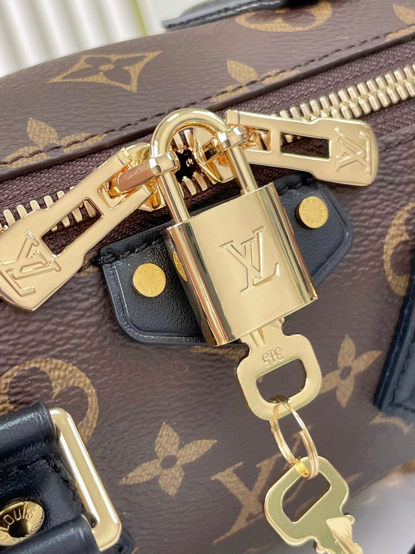 Malle Speedy 20 en toile monogrammée marron et garniture en cuir de veau noir, boucle dorée