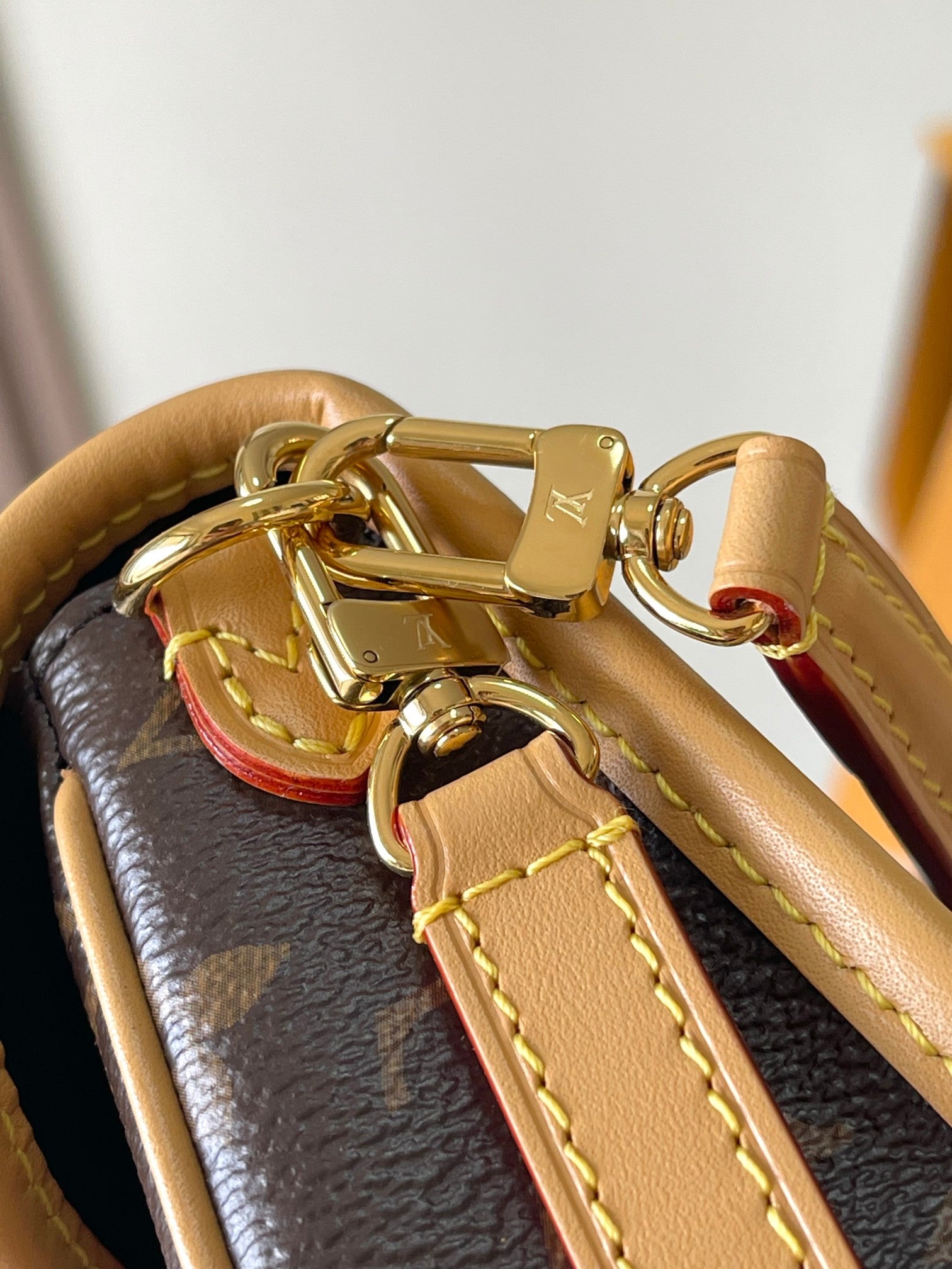 SAC NANO DIANE 19 EN TOILE MONOGRAMME MARRON ET GARNITURES EN CUIR