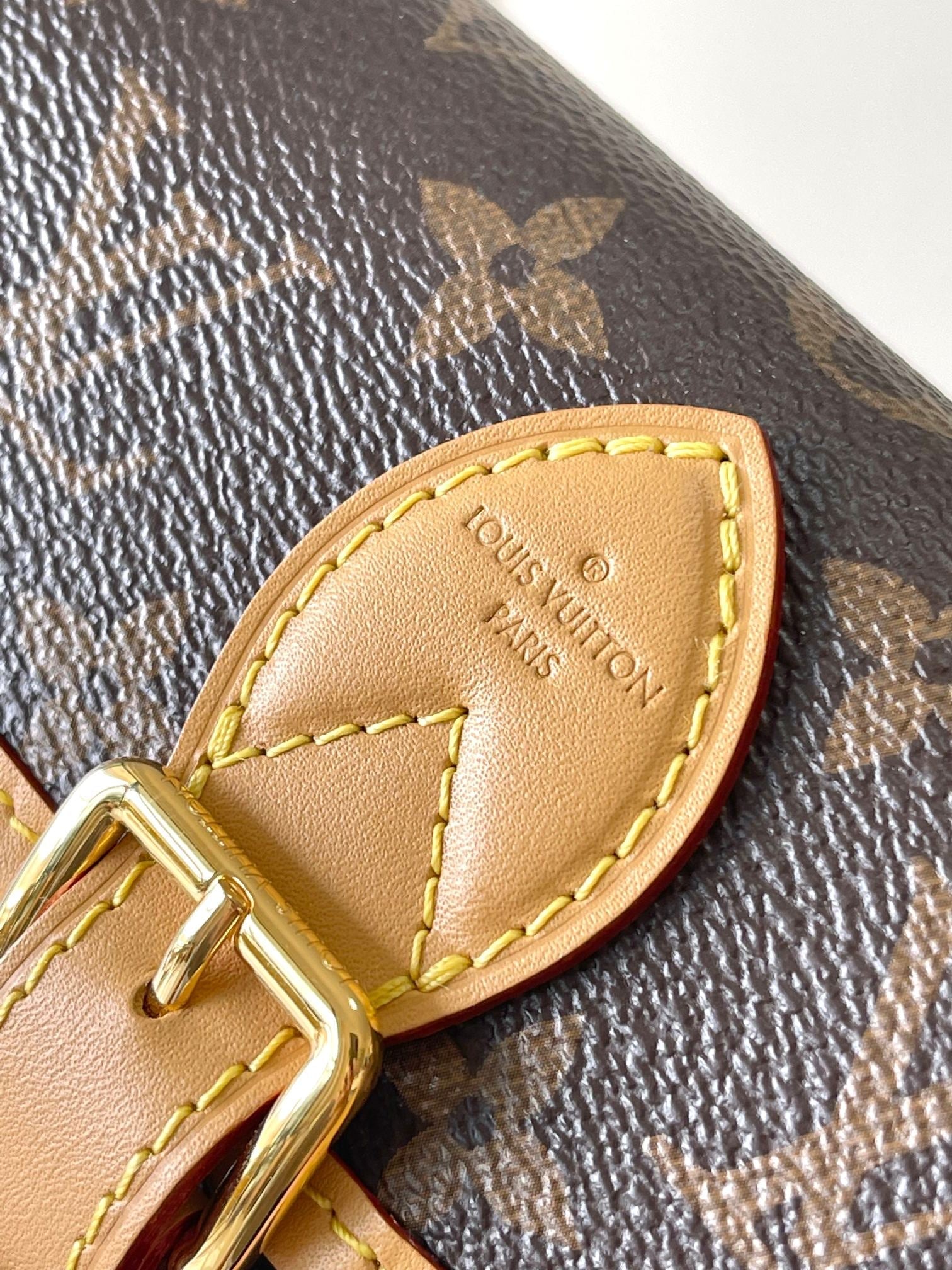 SAC NANO DIANE 19 EN TOILE MONOGRAMME MARRON ET GARNITURES EN CUIR
