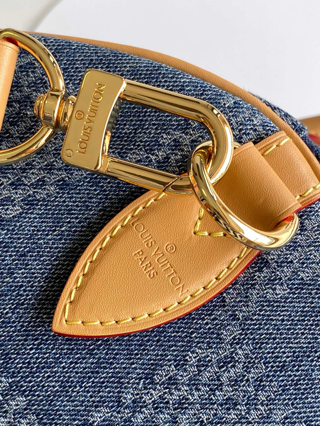 SPEEDY BANDOULIÈRE 40 EN DENIM DAMIER BLEU modèle 3D