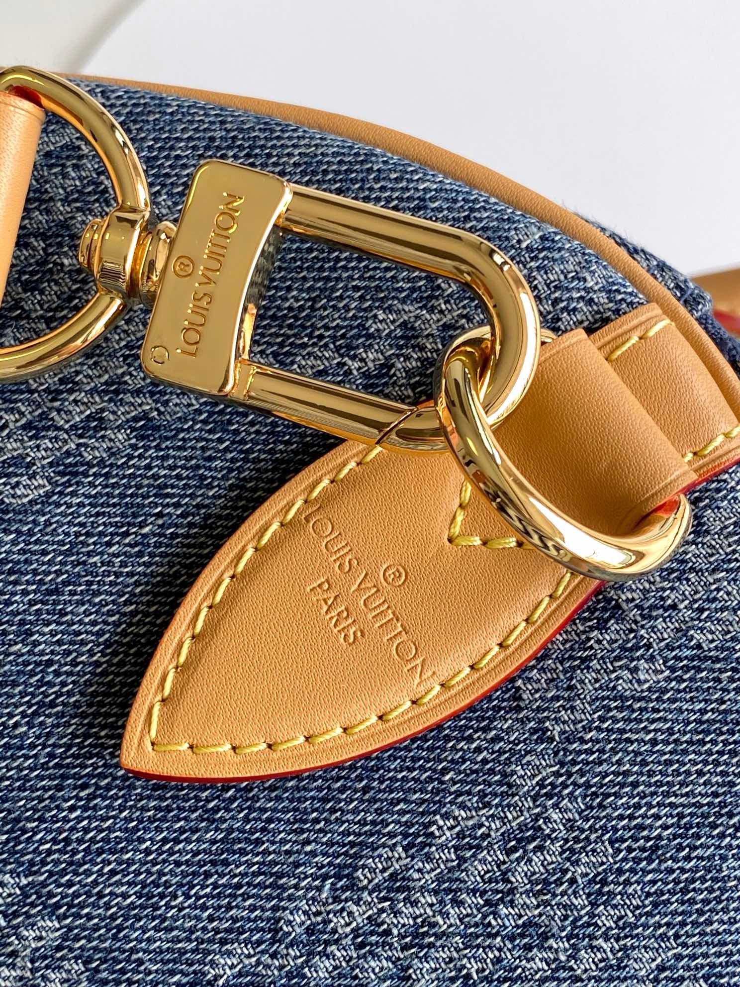 SPEEDY BANDOULIÈRE 40 EN DENIM DAMIER BLEU modèle 3D