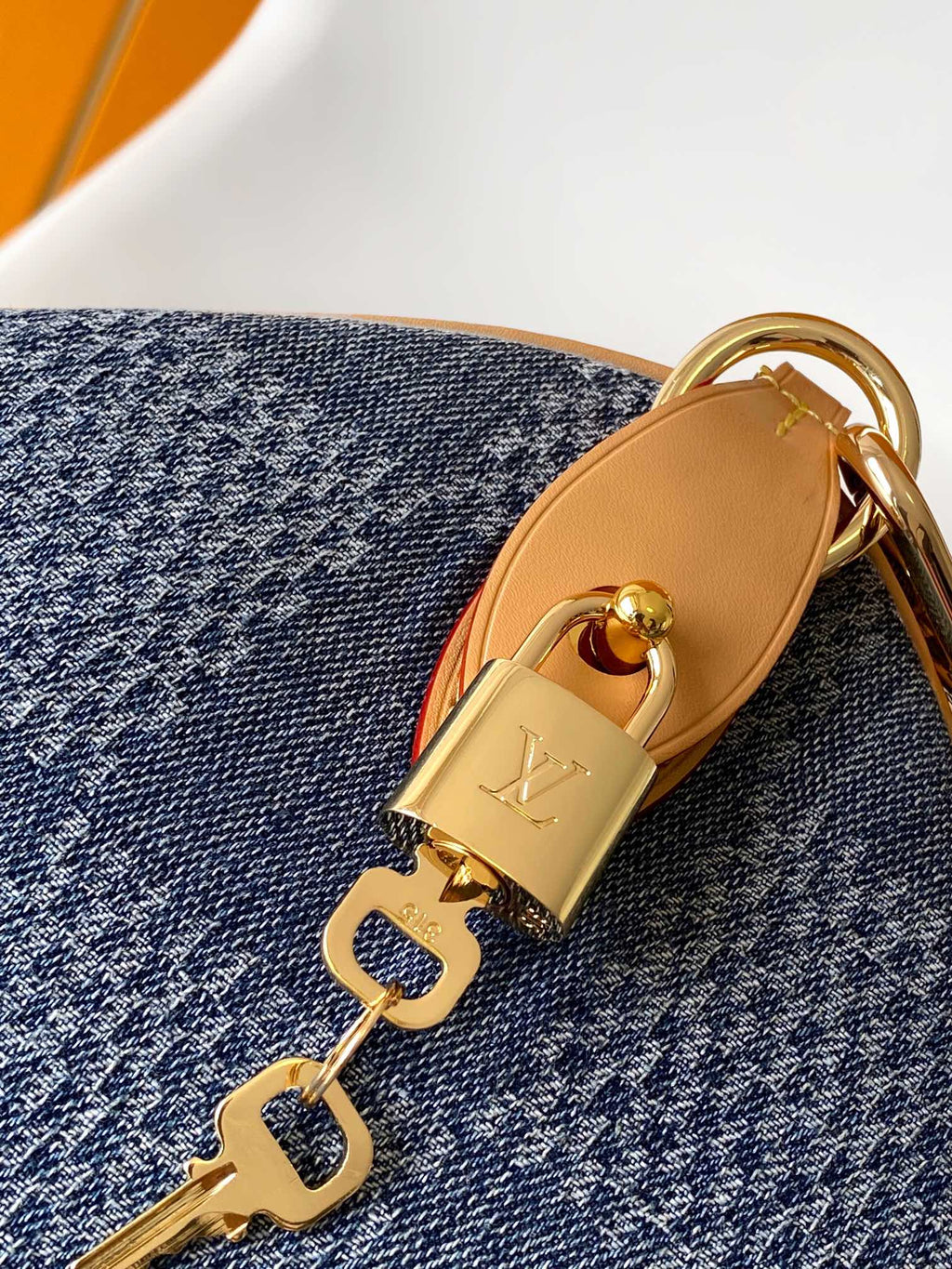 SPEEDY BANDOULIÈRE 40 EN DENIM DAMIER BLEU modèle 3D