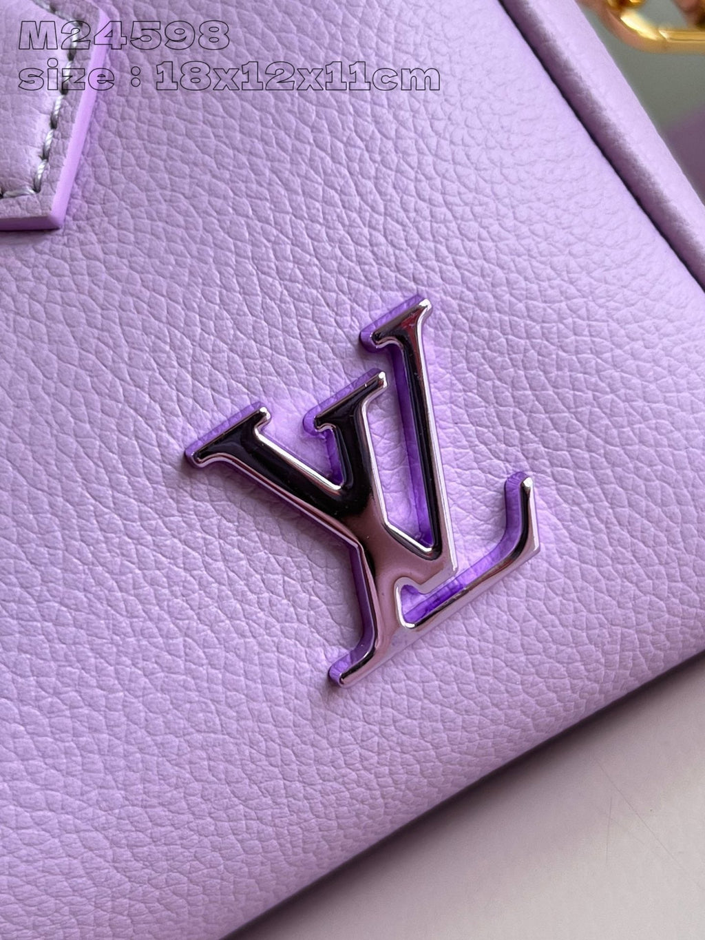 SPEEDY BANDOULIERE 18CM CUIR DE VEAU VIOLET