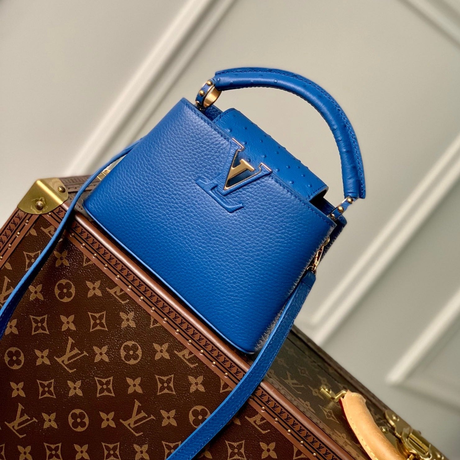 QUINCAILLERIE CAPUCINES MINI 21 BLEU COBALT TAURILLON OR