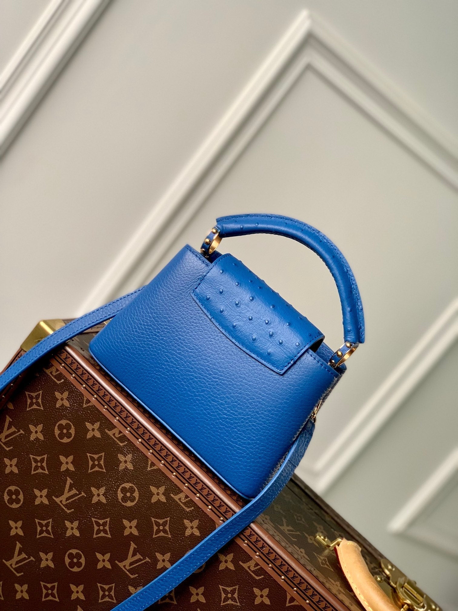 QUINCAILLERIE CAPUCINES MINI 21 BLEU COBALT TAURILLON OR