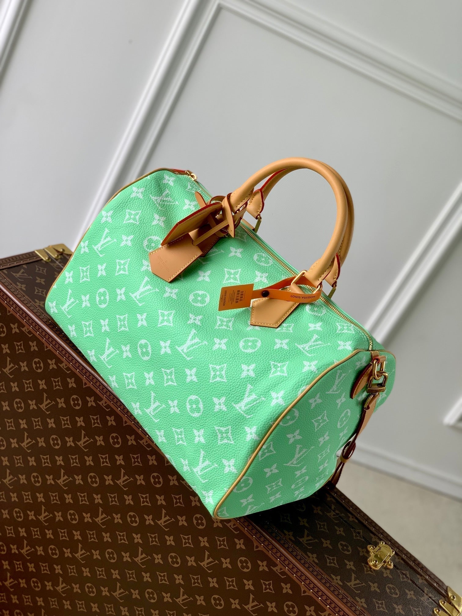 SPEEDY P9 BANDOULIÈRE 40CM CUIR DE VEAU VERT
