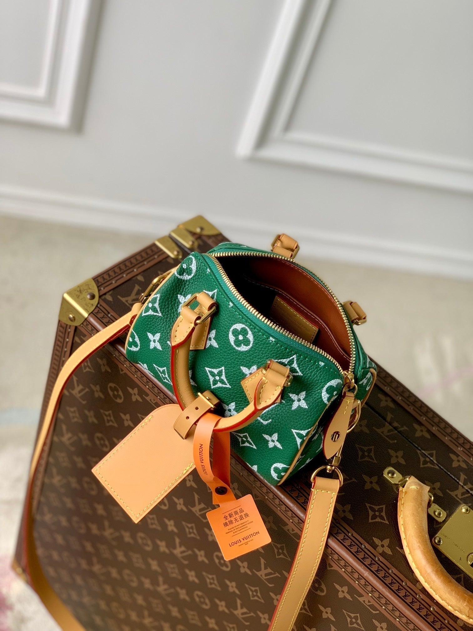 SPEEDY P9 BANDOULIÈRE 18CM CUIR DE VEAU VERT