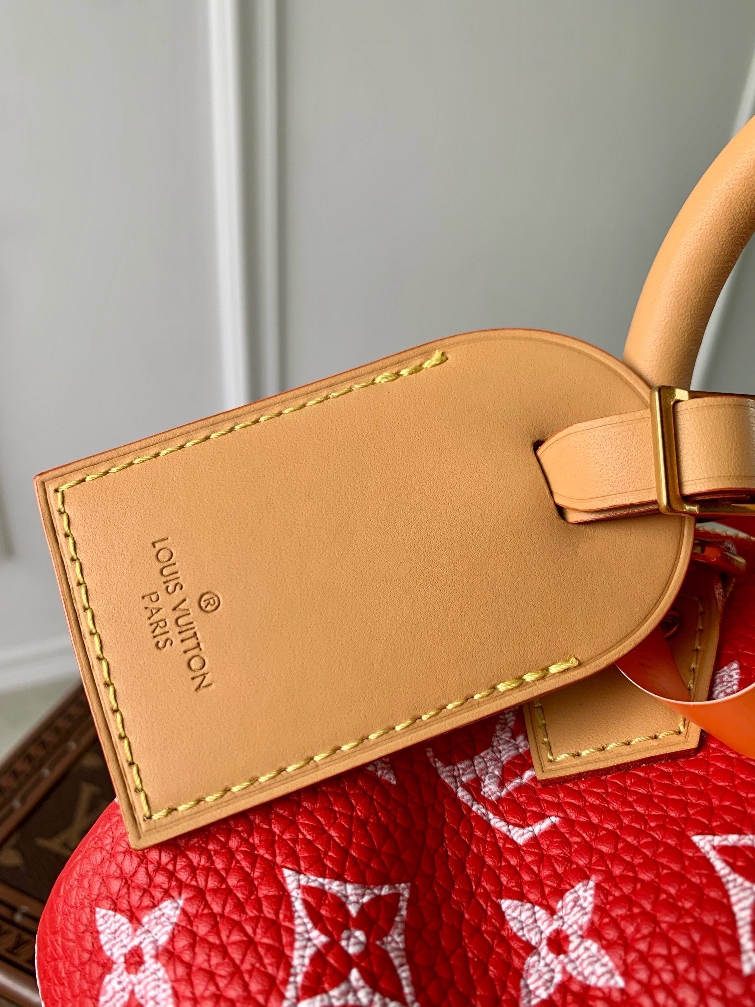 SPEEDY P9 BANDOULIÈRE 18CM CUIR DE VEAU ROUGE