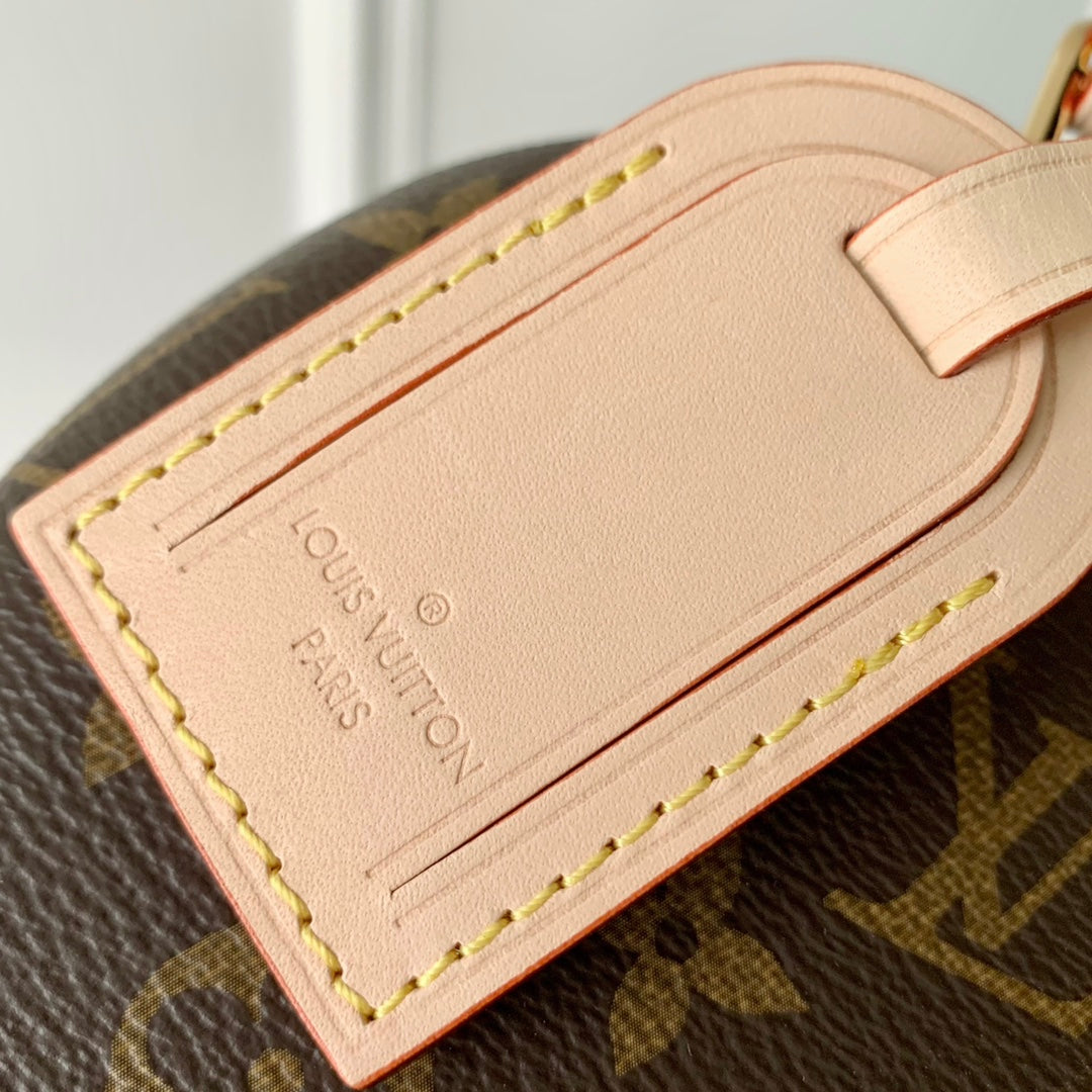 Malle LV Alma 26 Marron Monogrammé