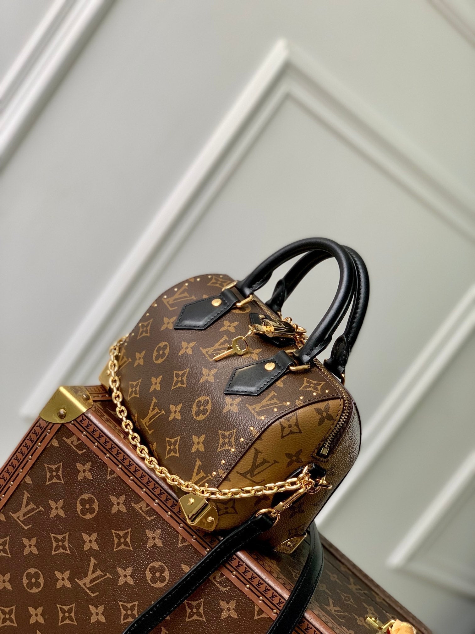 Malle Louis Vuitton Speedy 20 Monogramme Noir Marron