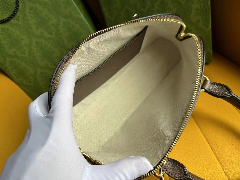 OPHIDIA 31 PETIT SAC À MAIN EN TOILE BEIGE ET CUIR DE VEAU MARRON