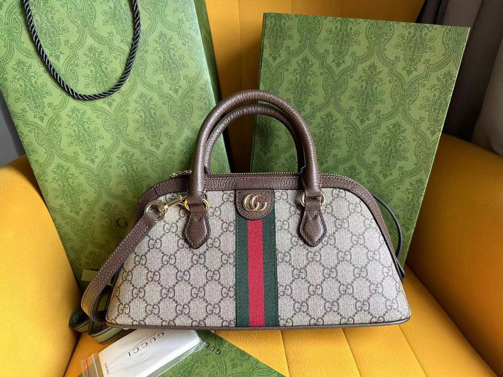OPHIDIA 31 PETIT SAC À MAIN EN TOILE BEIGE ET CUIR DE VEAU MARRON