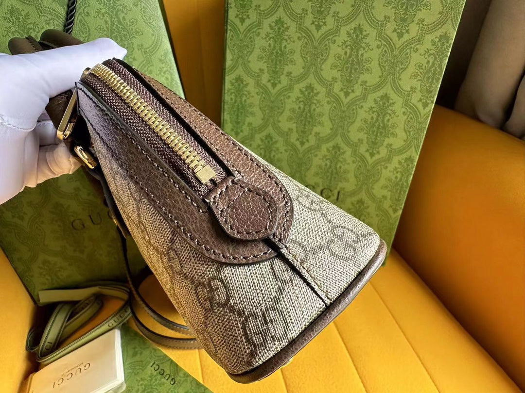 OPHIDIA 31 PETIT SAC À MAIN EN TOILE BEIGE ET CUIR DE VEAU MARRON